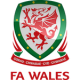 Wales EM tröjor 2020 Damer